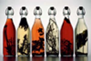 S.L Flavour oils.jpg (17238 bytes)
